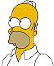 Homer™