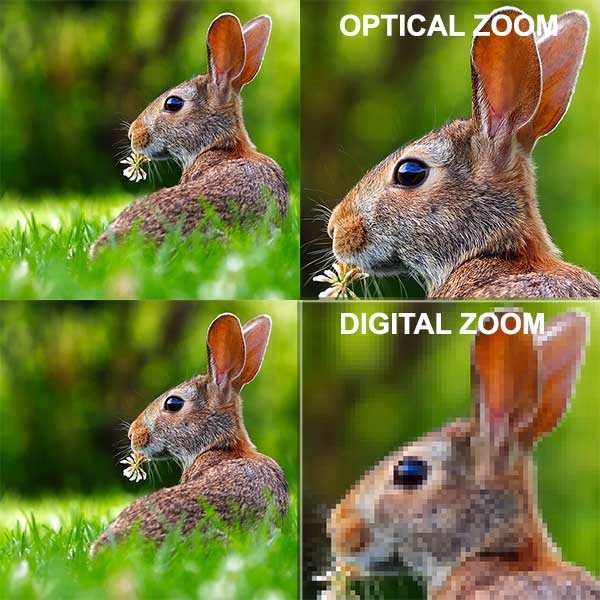 digital zoom and optical zoom