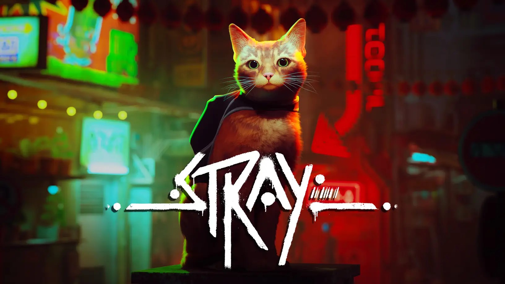 10 curiosidades sobre Stray, o jogo do gato