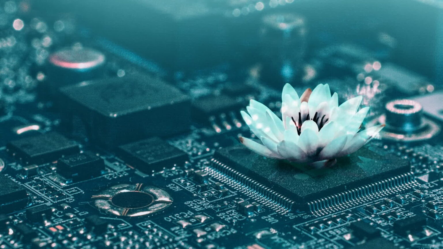 Placa de circuito eletrônico com chips e trilhas azuladas, com uma flor de lótus brilhante e translúcida pousada sobre um processador
