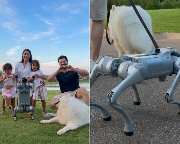 Alok exibe cão robô nas redes sociais. Conheça mais sobre o modelo e quanto custa! 1 cão robô