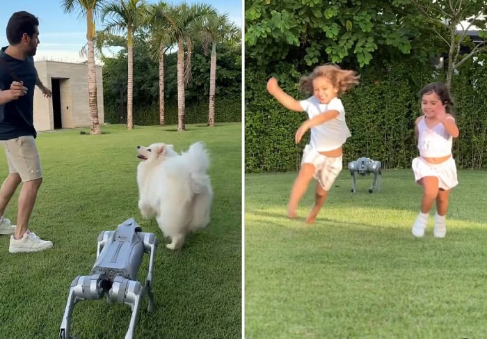 Alok exibe cão robô nas redes sociais. Conheça mais sobre o modelo e quanto custa! 2 cão robô