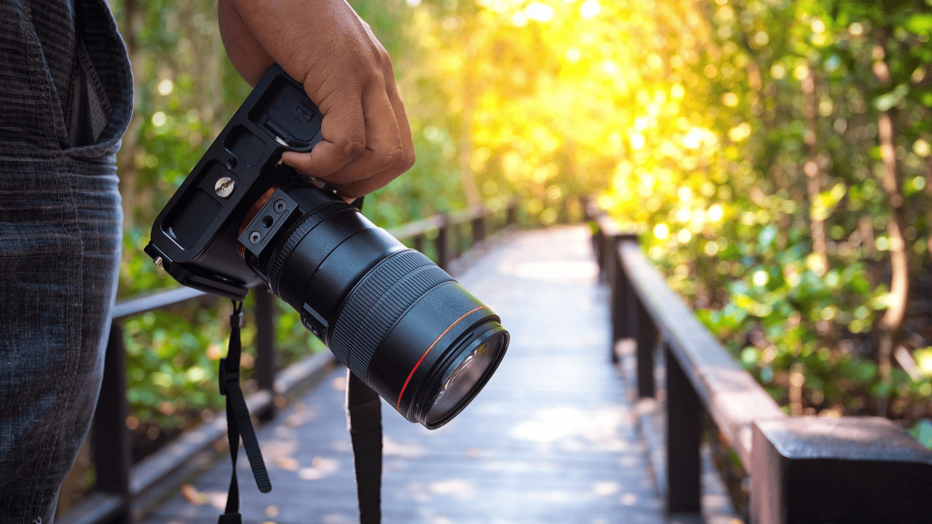 3 Diferenças entre Câmeras DSLR e Mirrorless 1 Câmera DSLR