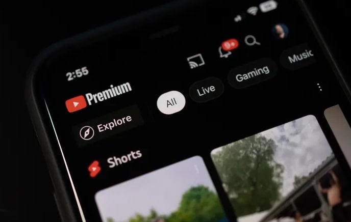 Youtube Premium ganhará mais opções de planos e possibilidade de dividir com amigos 1 YouTube Premium