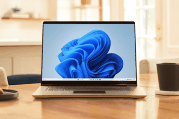 Windows 11