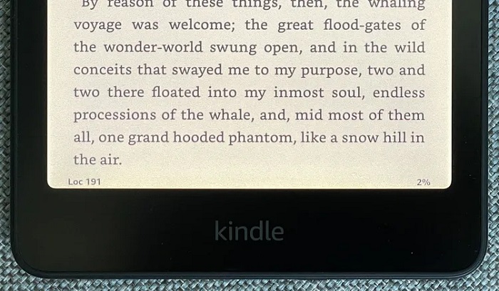 Kindle colorido