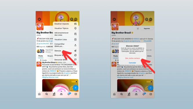 BBB 25: Como bloquear informações sobre o programa nas redes sociais 3 i970857 removebg preview