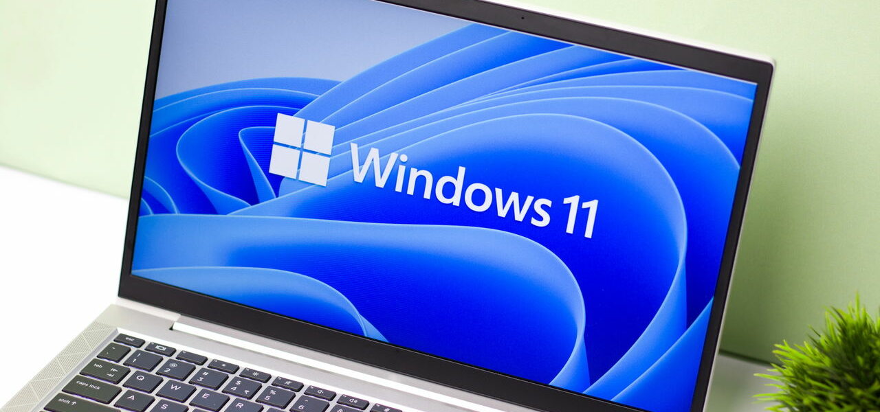 Windows 11