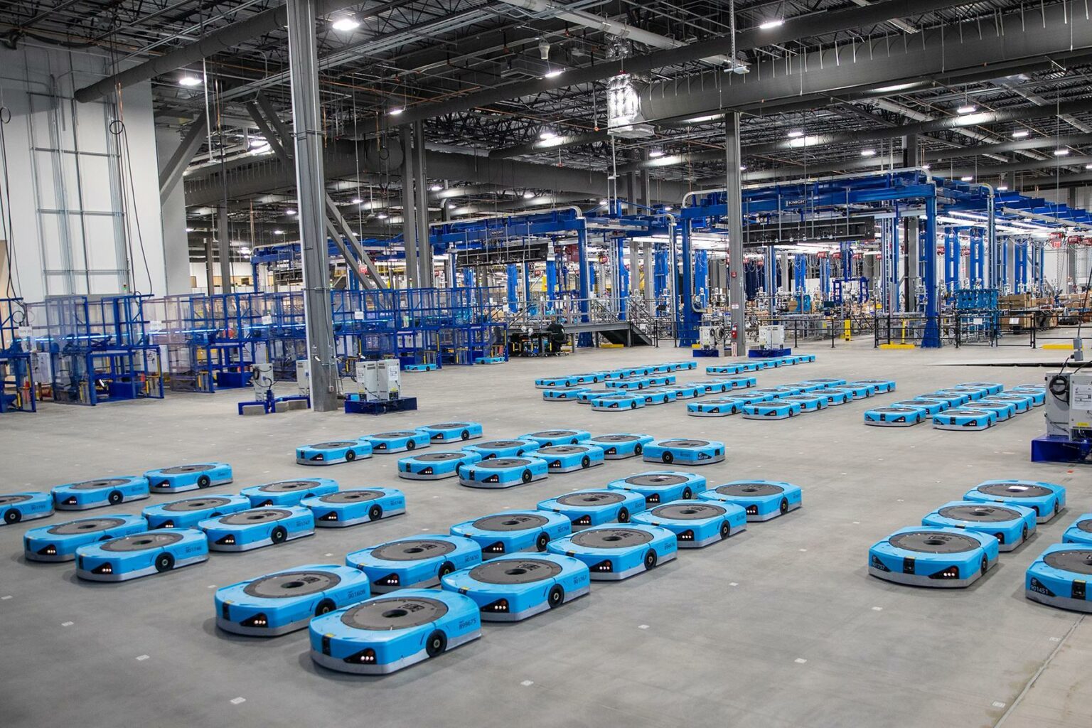 amazon
