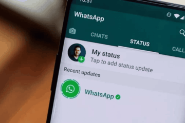 WhatsApp Status