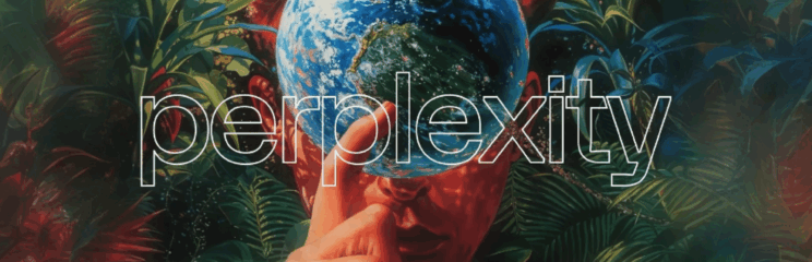 Perplexity