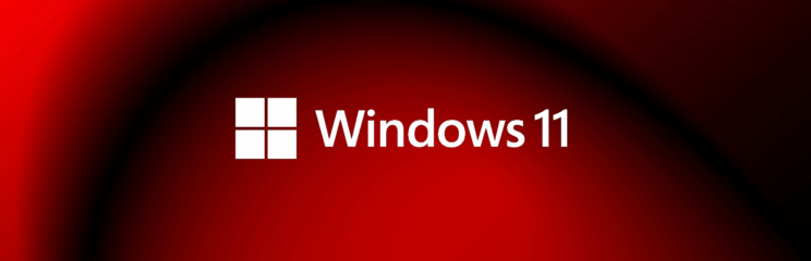 Windows 11