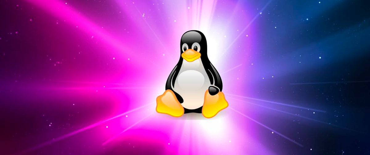 “Adeus Windows, olá Software Livre”: campanha francesa incentiva migração para Linux