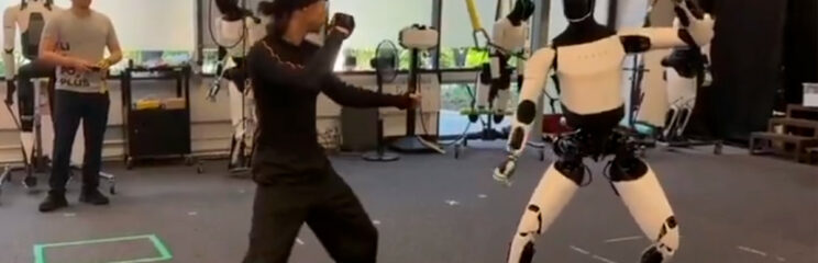 robô kung-fu