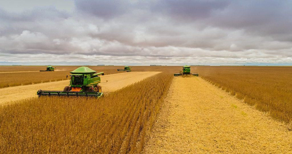 IA transforma previsão da safra de soja no Brasil com alta precisão 1 Campo de soja em colheita com colheitadeiras verdes e céu nublado sobre área agrícola extensa