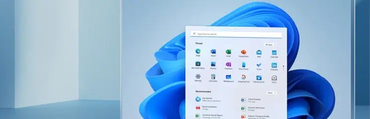 Windows 11