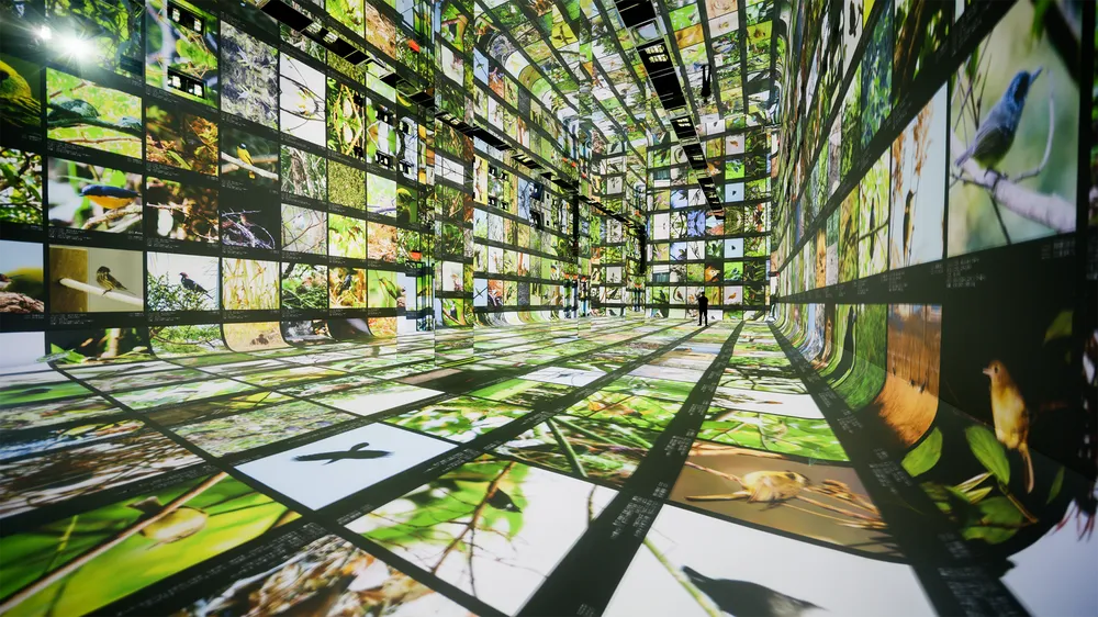 Dataland: Google abre primeiro museu dedicado exclusivamente à arte gerada por IA 1 Gallery A Data Pavilion.width 1000.format webp