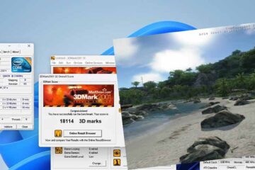 windows 11