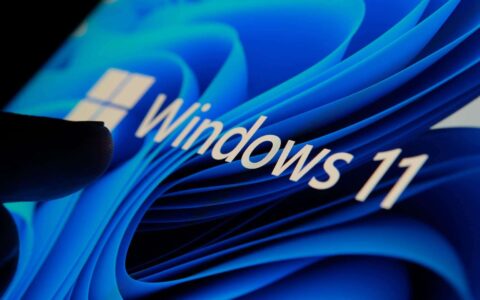 windows 11
