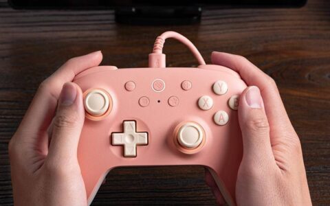Por menos de R$ 160, este controle da 8BitDo é difícil de ignorar para quem joga no PC