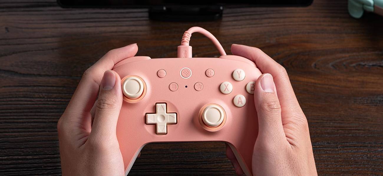 Por menos de R$ 160, este controle da 8BitDo é difícil de ignorar para quem joga no PC