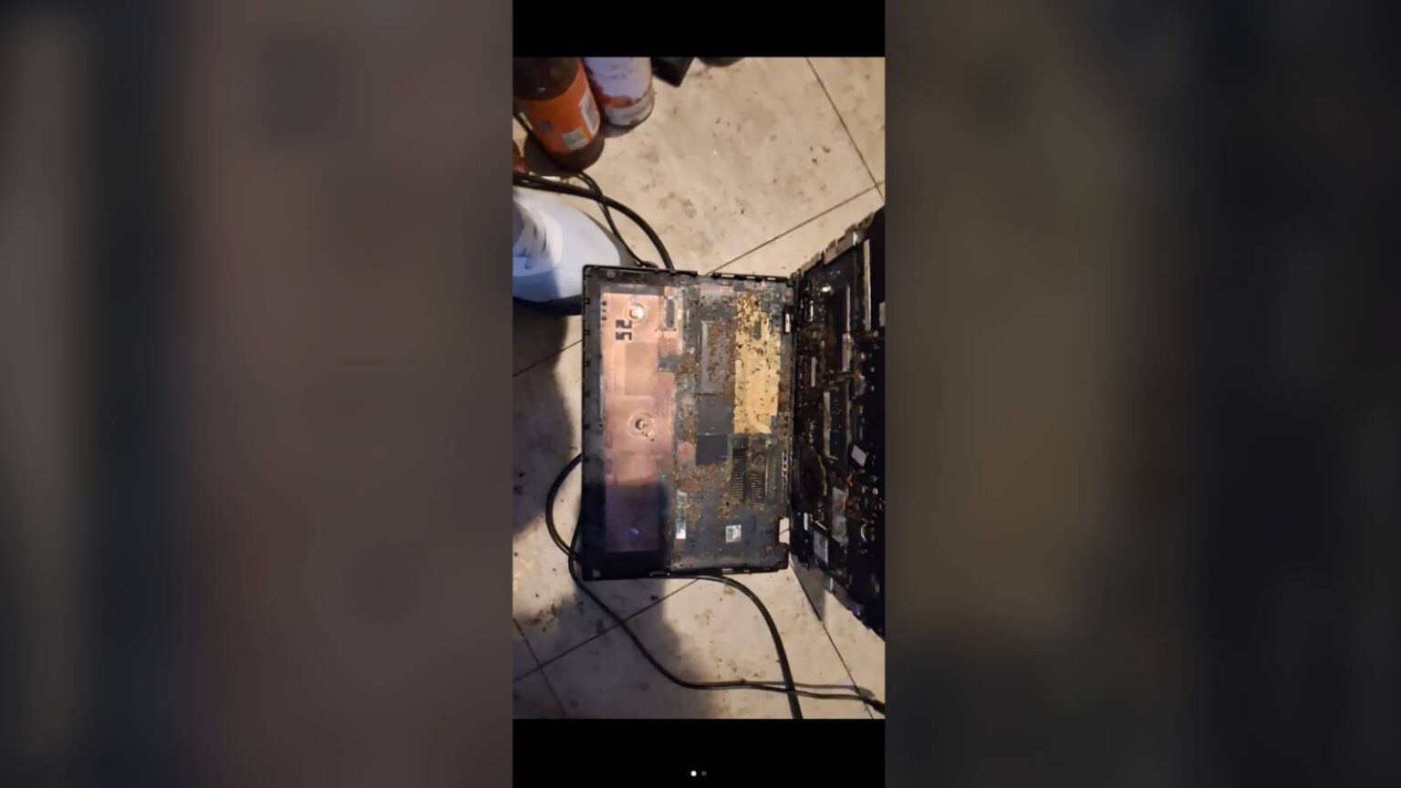 Homem compra notebook recondicionado de empresa confiável e descobre infestação de insetos após aparelho parar de funcionar