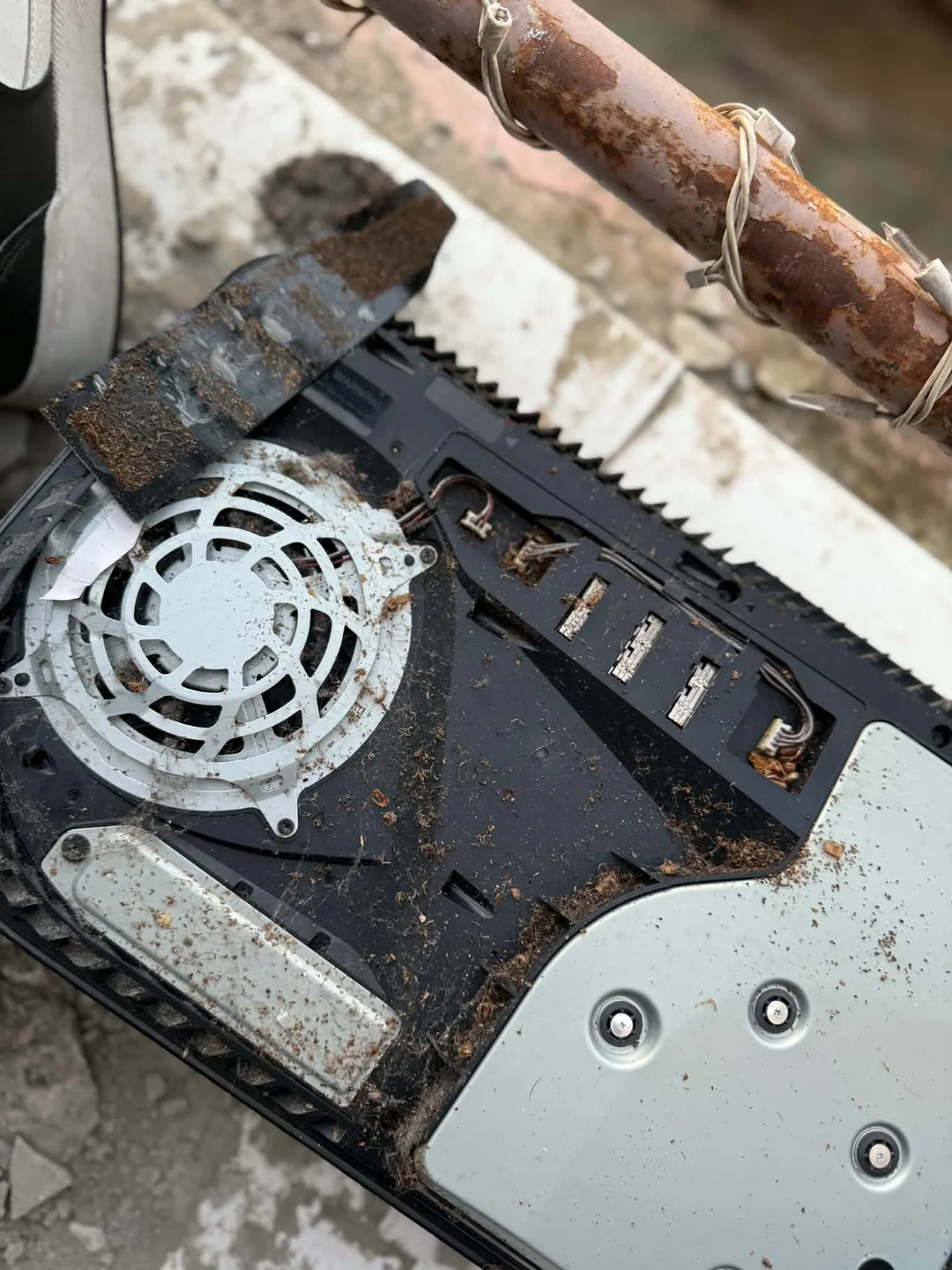 PS5 que desligava sozinho é aberto para reparo e técnico encontra infestação de baratas: "algumas pessoas não deveriam ter consoles", disse o técnico 2 ps5 some people shouldnt have consoles smh v0 4l8djj7o5psh1
