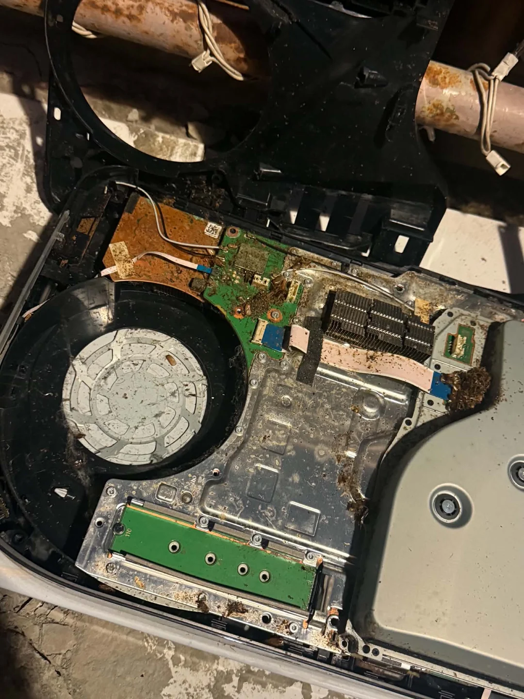 PS5 que desligava sozinho é aberto para reparo e técnico encontra infestação de baratas: "algumas pessoas não deveriam ter consoles", disse o técnico 3 ps5 some people shouldnt have consoles smh v0 5srkj2do5psh1