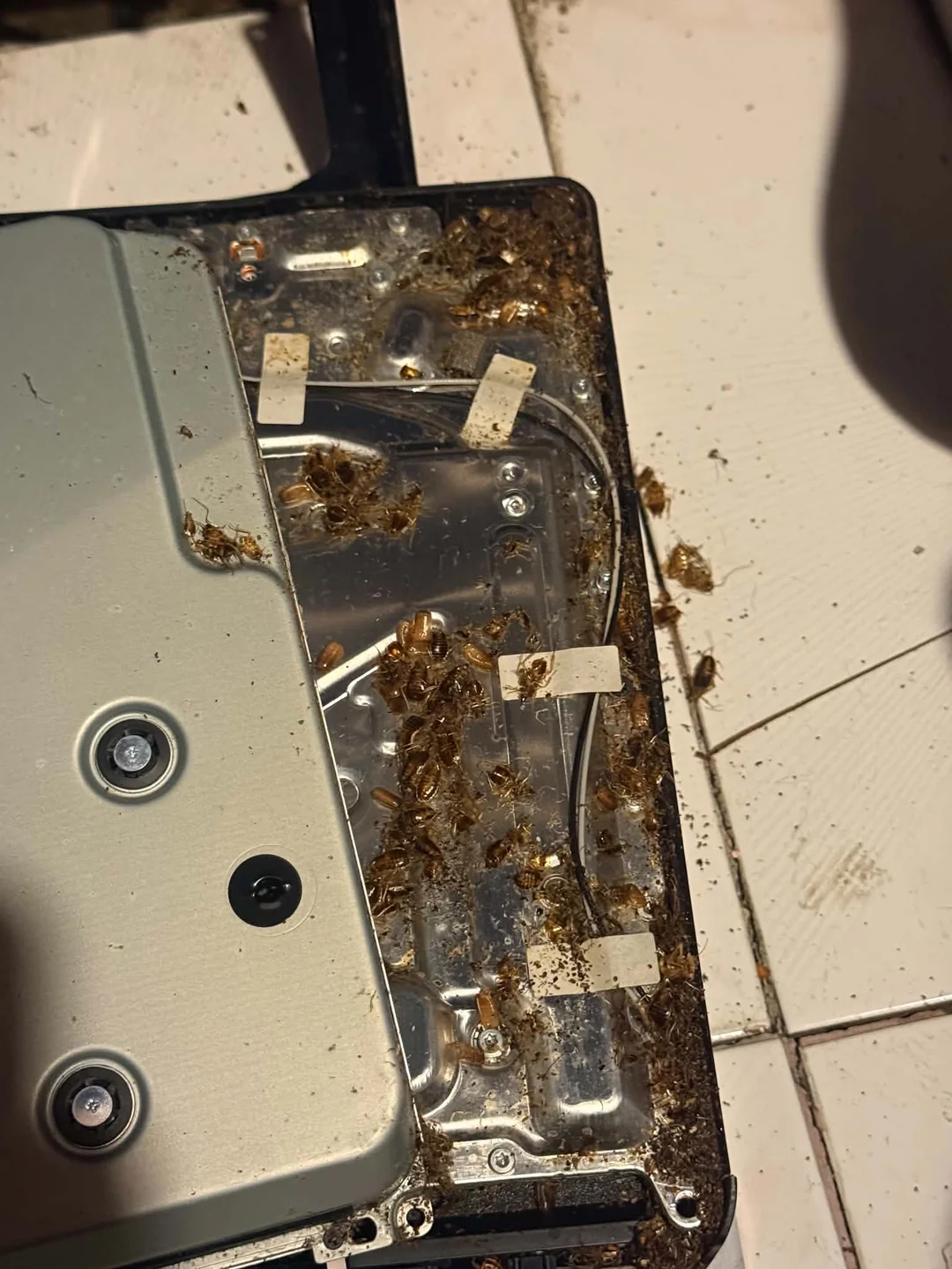 PS5 que desligava sozinho é aberto para reparo e técnico encontra infestação de baratas: "algumas pessoas não deveriam ter consoles", disse o técnico 1 ps5 some people shouldnt have consoles smh v0 si7rmgjo5psh1