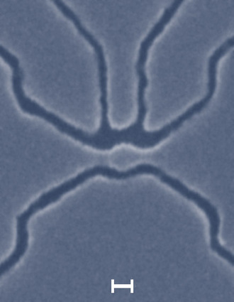 grafeno2