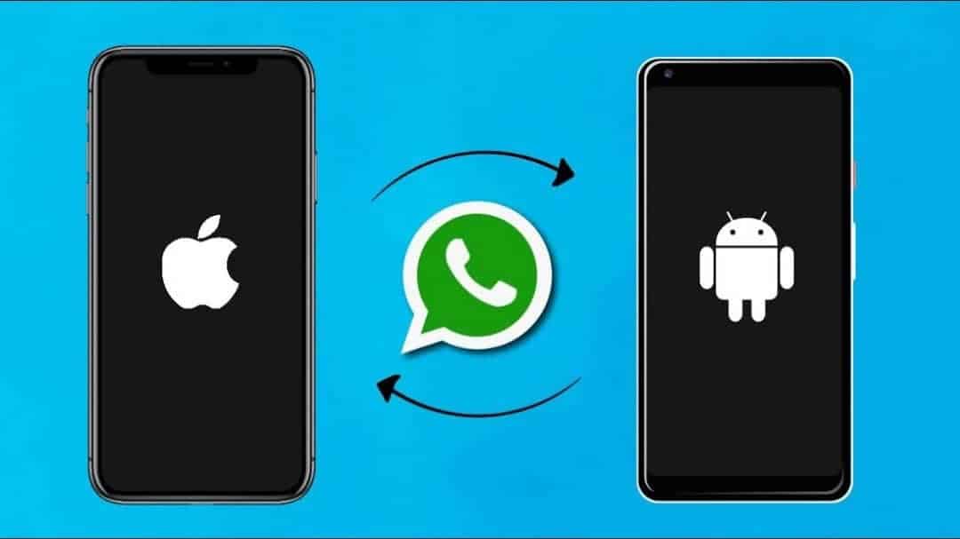 Transferência de histórico do WhatsApp só poderá ser feita com cabo