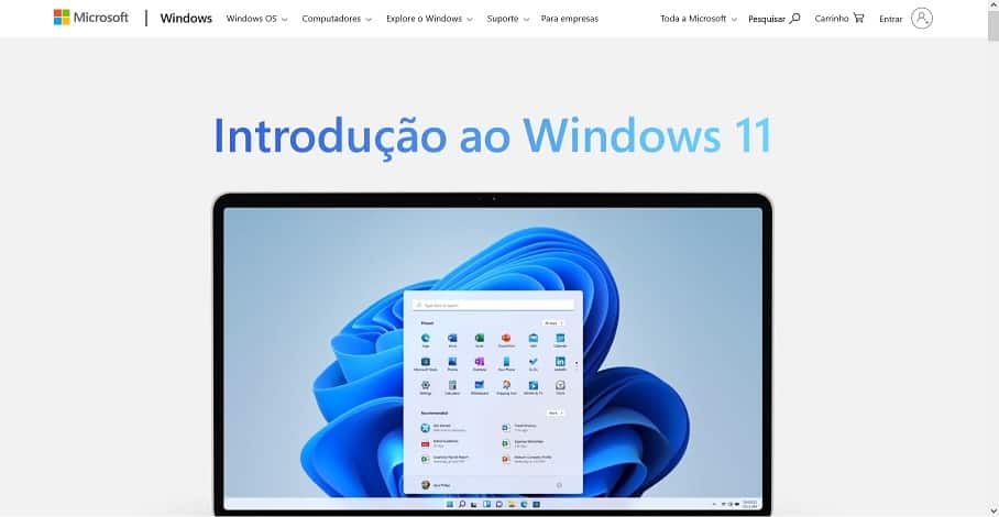Windows 11