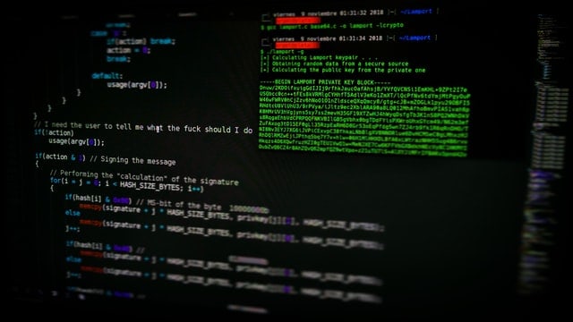 Linux: Falha "Dirty Pipe" dá acesso root e afeta até smartphones Android 2 arget zvHhKiVuR9M unsplash