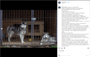 Rússia bane acesso ao Instagram 4 husky help