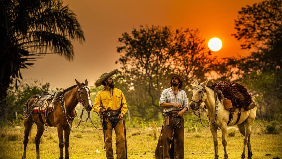 pantanal 8k