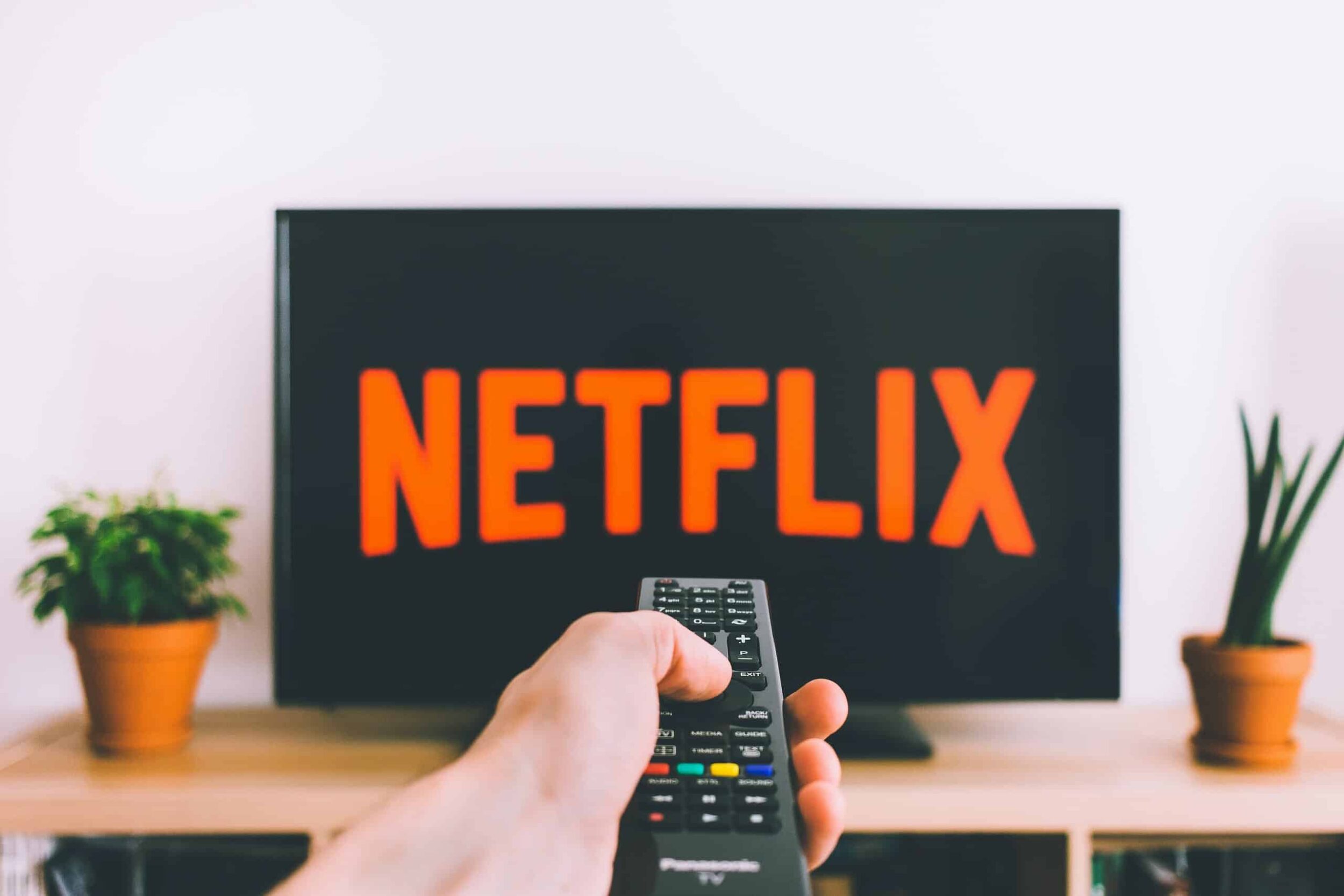 A guerra da Netflix contra o compartilhamento de senhas 1 pexels freestocksorg 987586