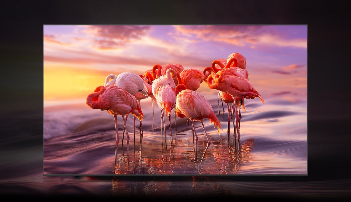 Neo QLED QN90B