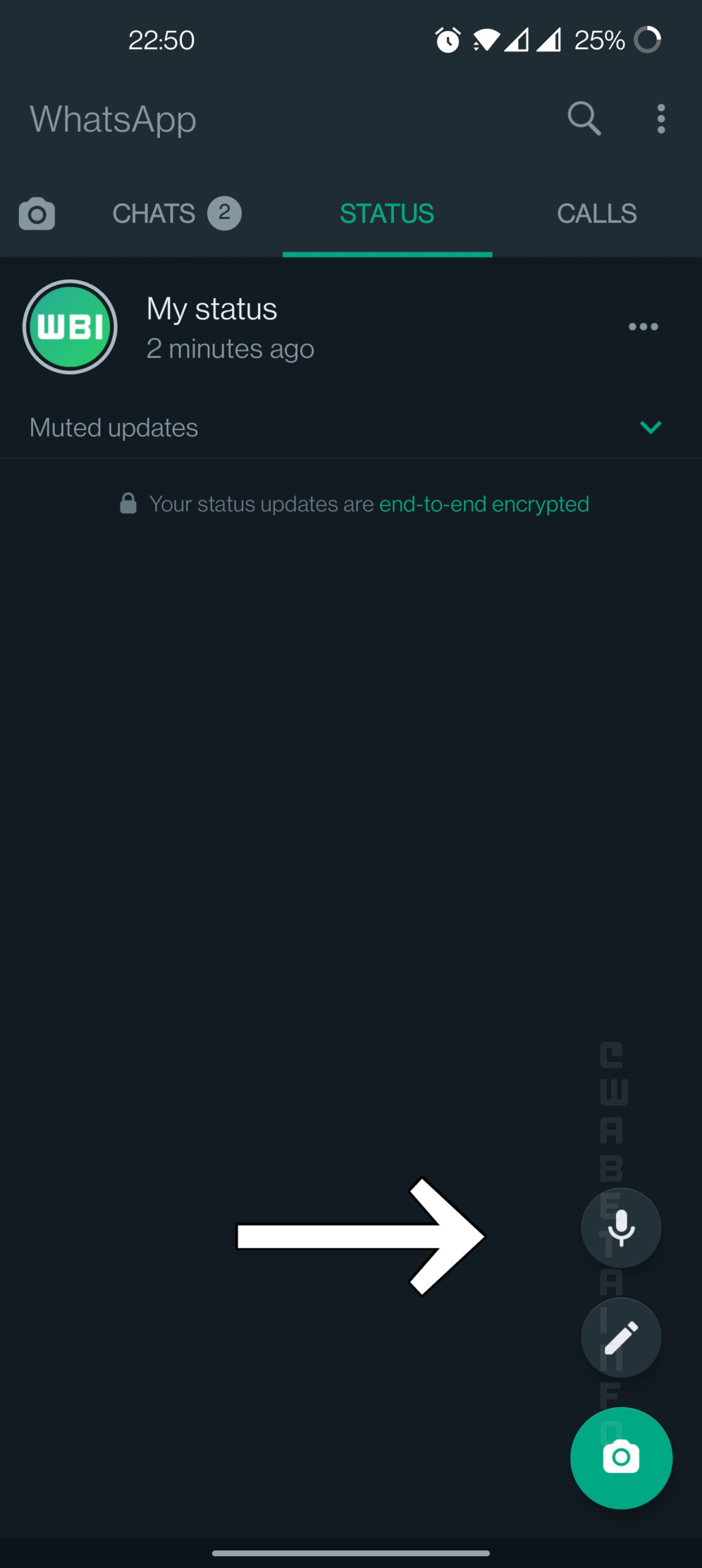 WhatsApp Status Audio