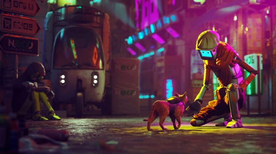 Stray