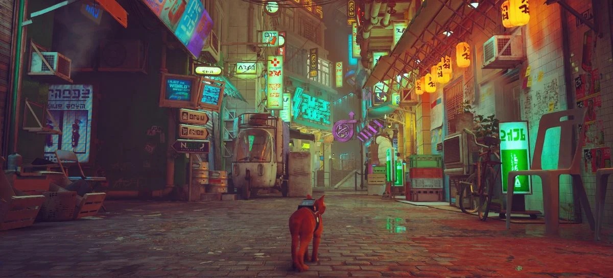Stray