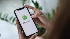 WhatsApp começa a liberar função que permite que usuários escondam quando estão online