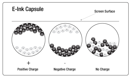 Diagrama de uma cápsula e-ink mostrando partículas brancas e pretas com carga positiva, negativa e sem carga, sob a superfície da tela