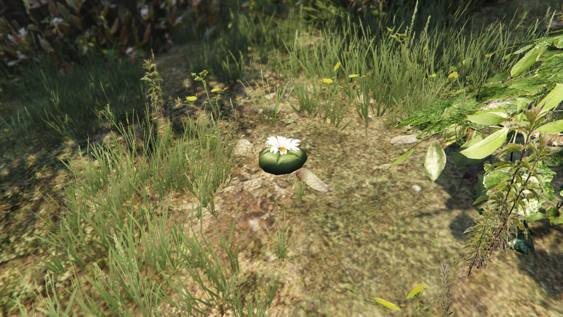 GTA 5