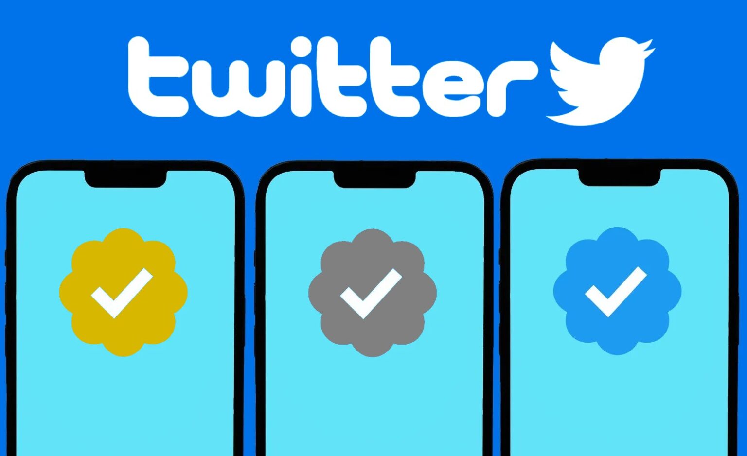 Logo do Twitter acima de três celulares exibindo selos de verificação dourado, cinza e azul com check branco