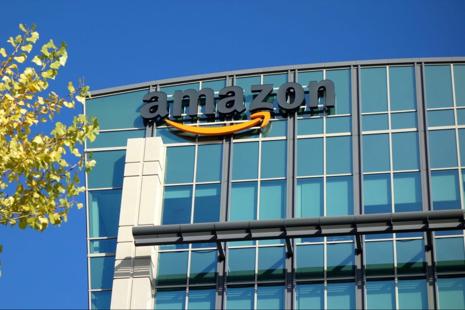 Amazon