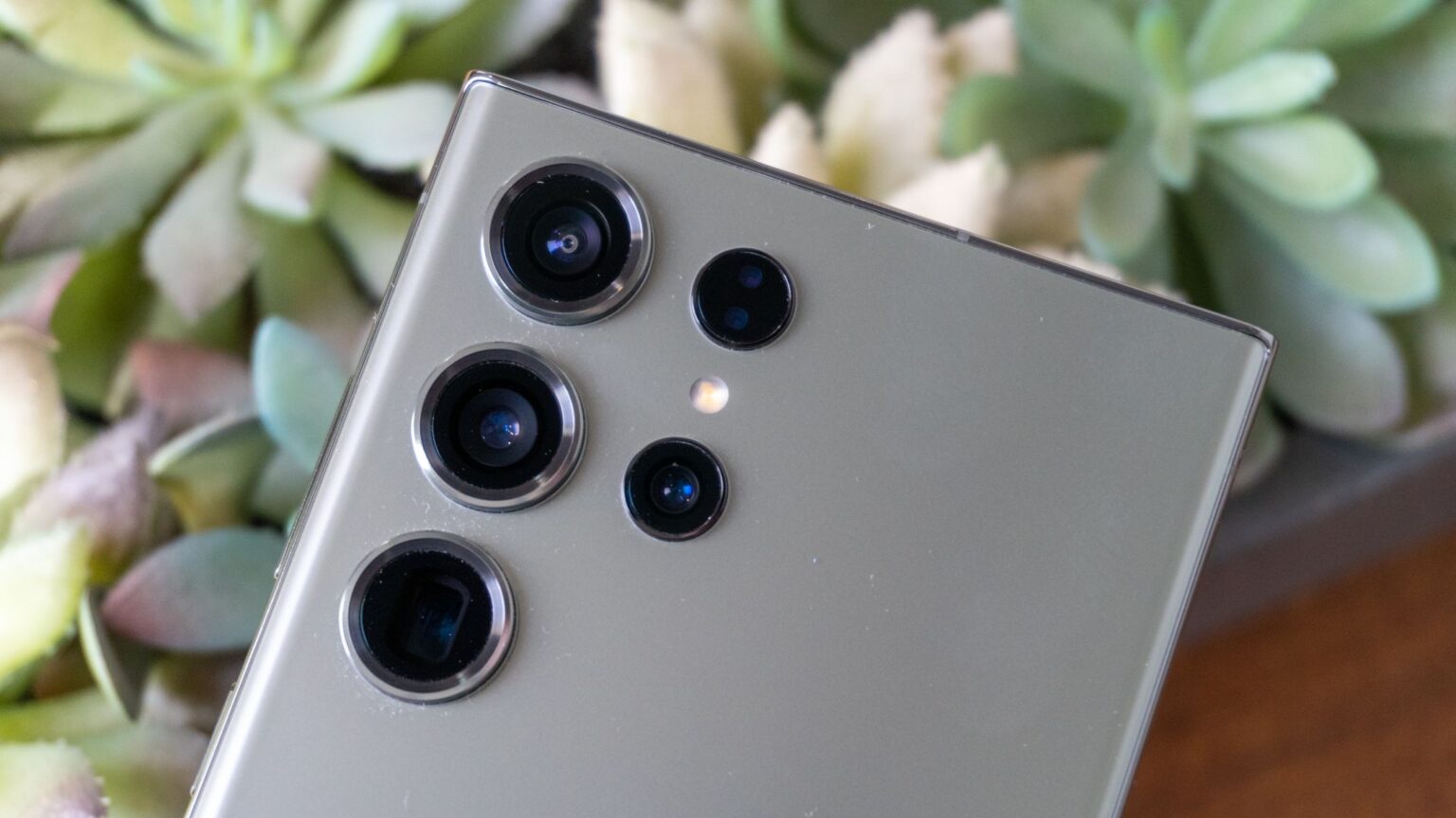 Traseira de smartphone cinza com conjunto de quatro lentes de câmera em destaque, sobre uma planta suculenta desfocada ao fundo